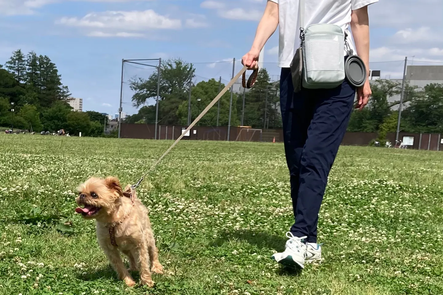 愛犬との散歩にも使える？ カインズの「ポケット付き保冷ショルダー」を夏のお散歩バッグ仕様にカスタム