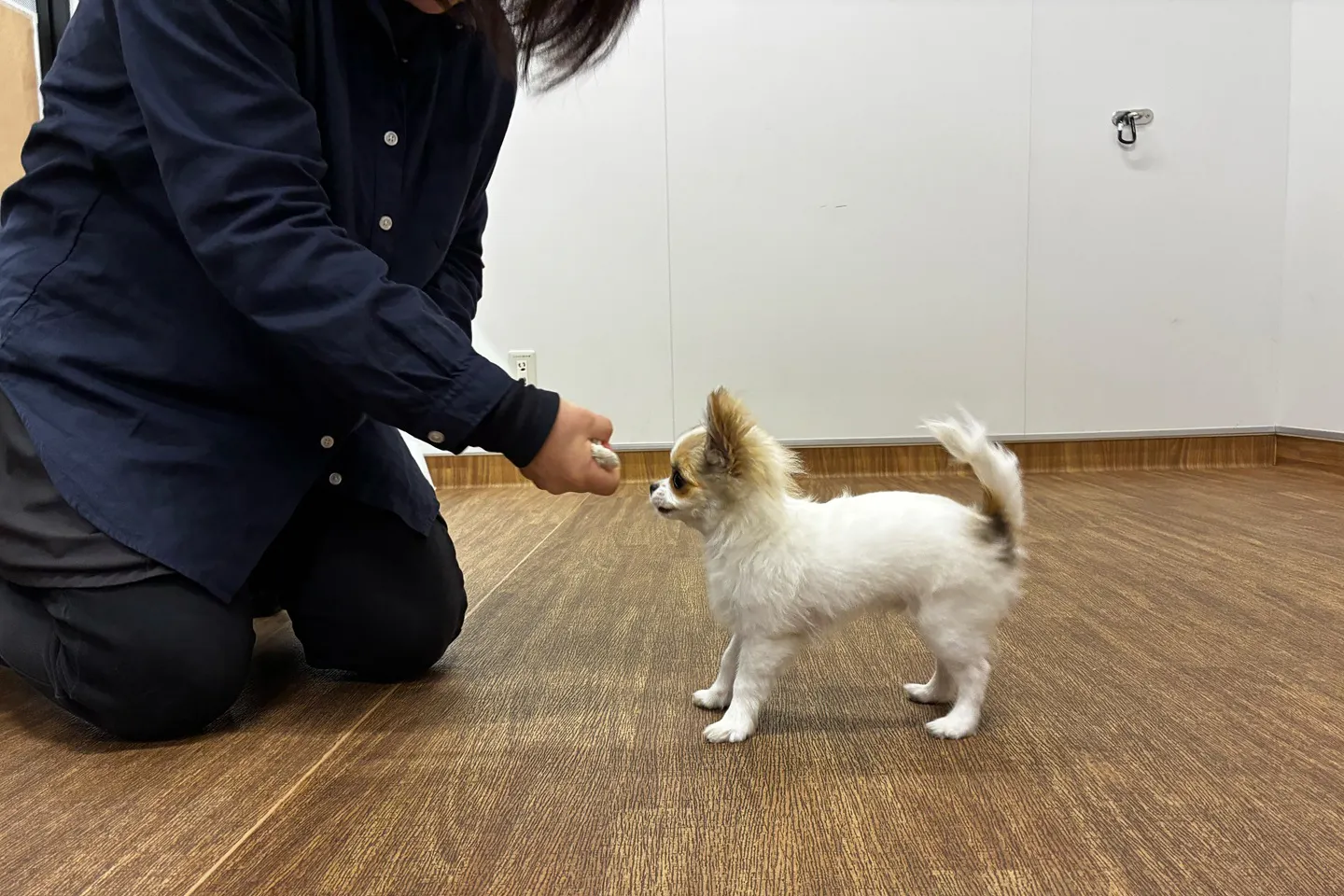 すると……口を離しました！『チョウダイ』成功です！