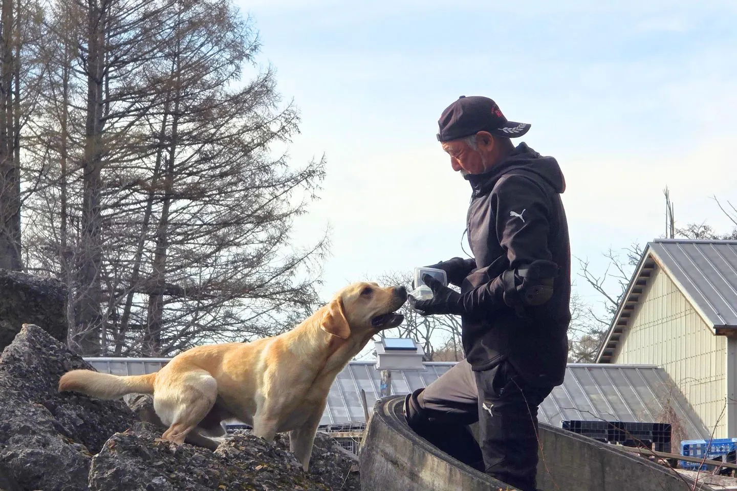 災害救助犬の訓練中にラブラドールとコミュニケーションを取る村瀬英博さん