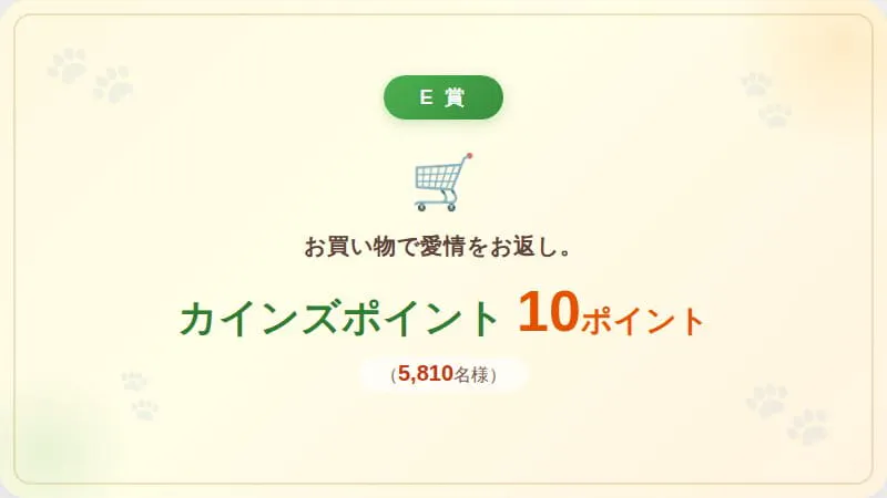 カインズポイント 10ポイント