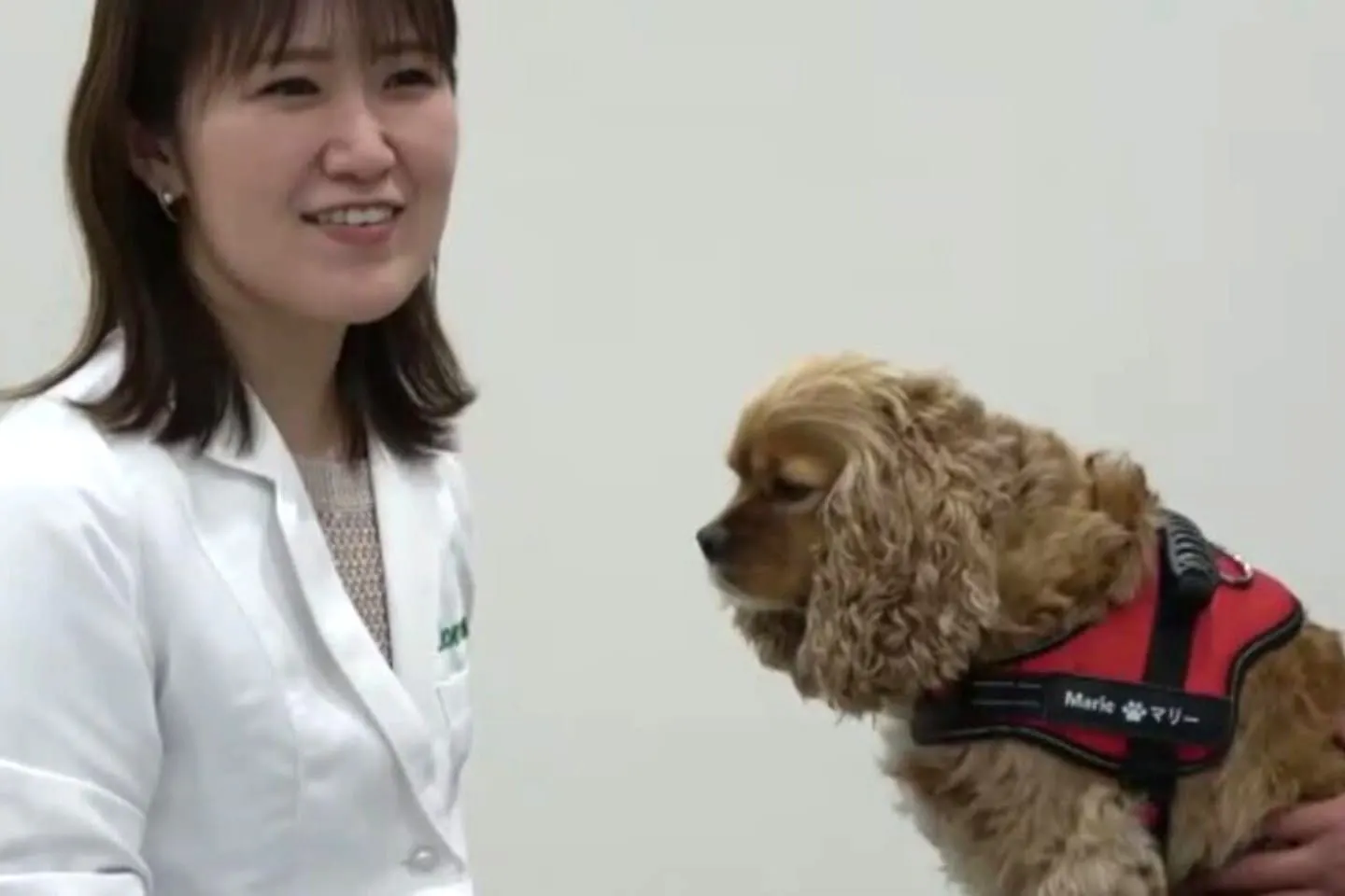 井上先生とアシスタント犬のマリーちゃん
