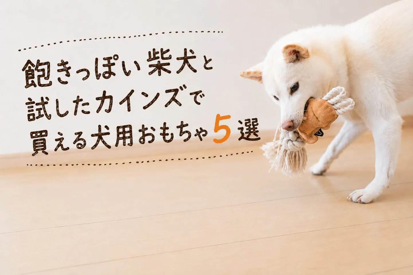 飽きっぽい柴犬と試したカインズで買える犬用おもちゃ5選