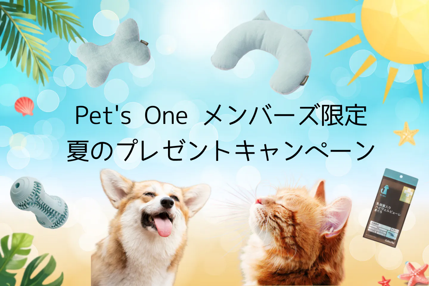 カインズ夏のプレゼントキャンペーン【Pet’s Oneメンバーズ限定】