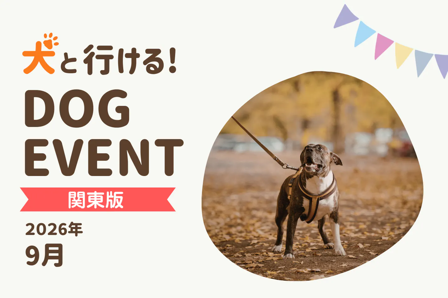 【2026年9月関東版】愛犬と一緒に楽しめるドッグイベント