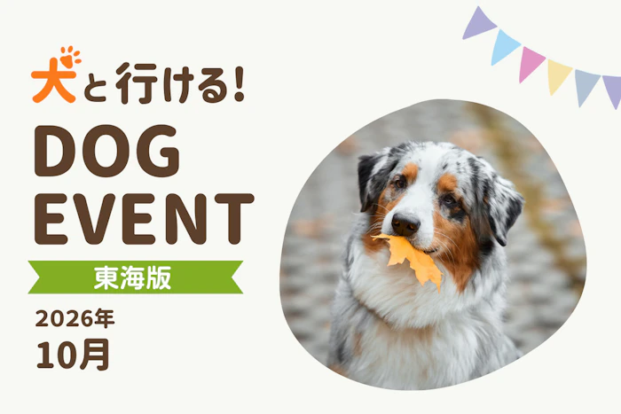 2026年9月中部・東海版】愛犬と一緒に楽しめるドッグイベント|ワンクォール