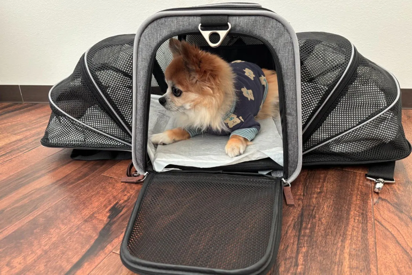内部は小型犬が横になれる広さがある 内部は小型犬が横になれる広さがある