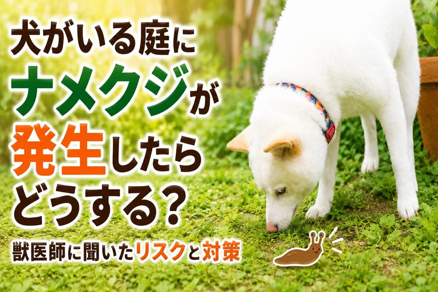 犬がいる庭にナメクジが発生したらどうする？ 獣医師に聞いたリスクと対策