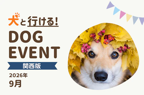 2026年9月関西版】愛犬と一緒に楽しめるドッグイベント|ワンクォール
