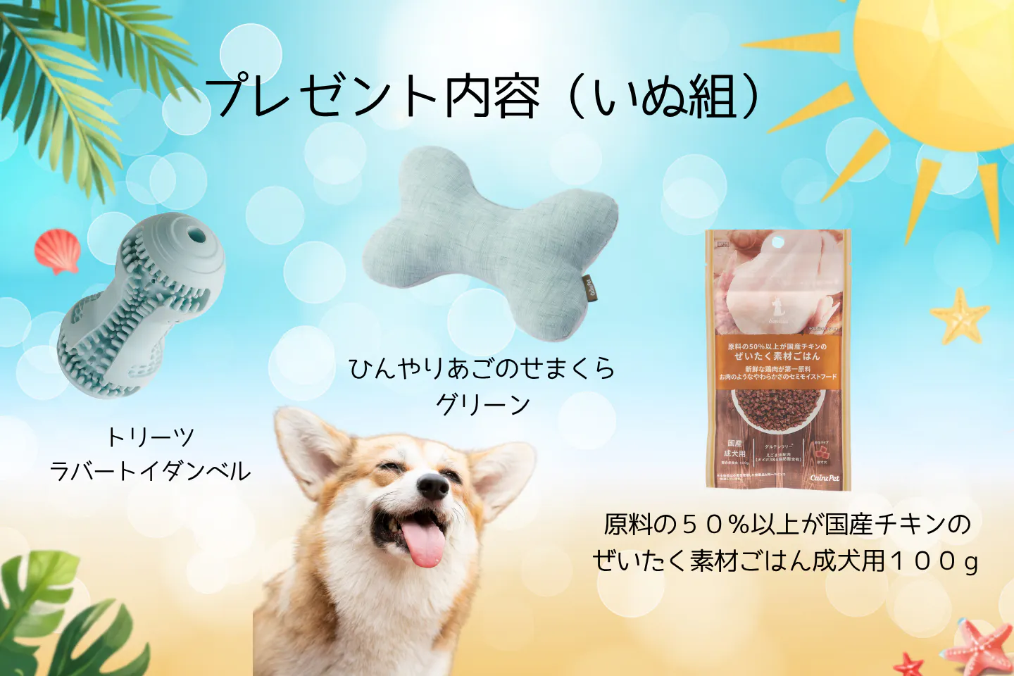 いぬ組セット