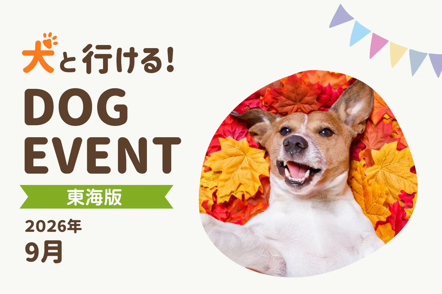 【2026年9月中部・東海版】愛犬と一緒に楽しめるドッグイベント