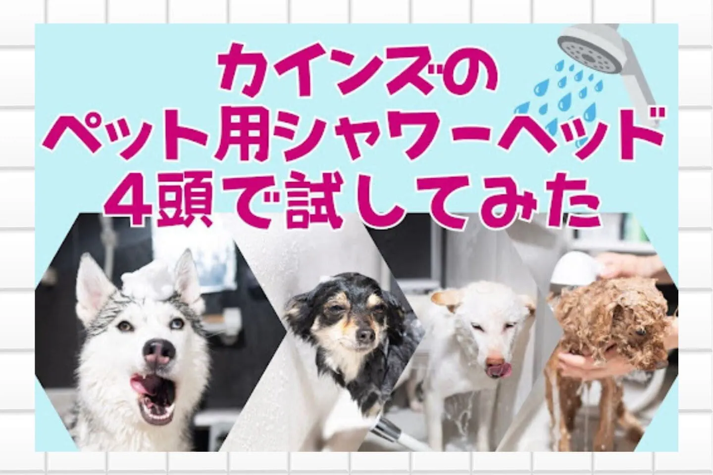 「シャワーの悩み」に！カインズのペット用シャワーヘッドを4頭で試してみた