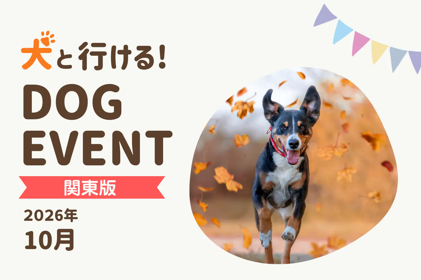 【2026年10月関東版】愛犬と一緒に楽しめるドッグイベント