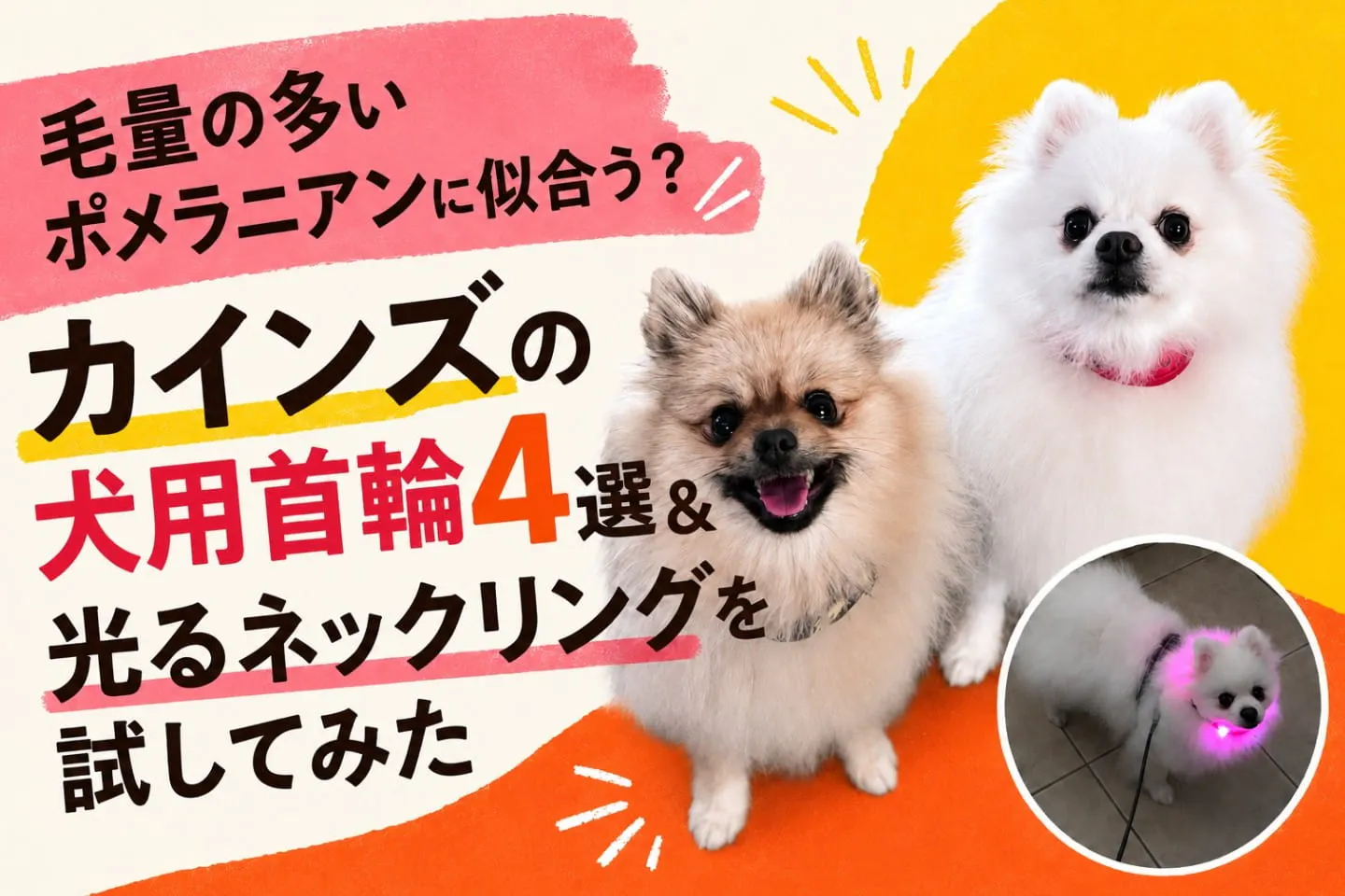 毛量の多いポメラニアンに似合う？カインズの犬用首輪4選＆光るネックリングを試してみた