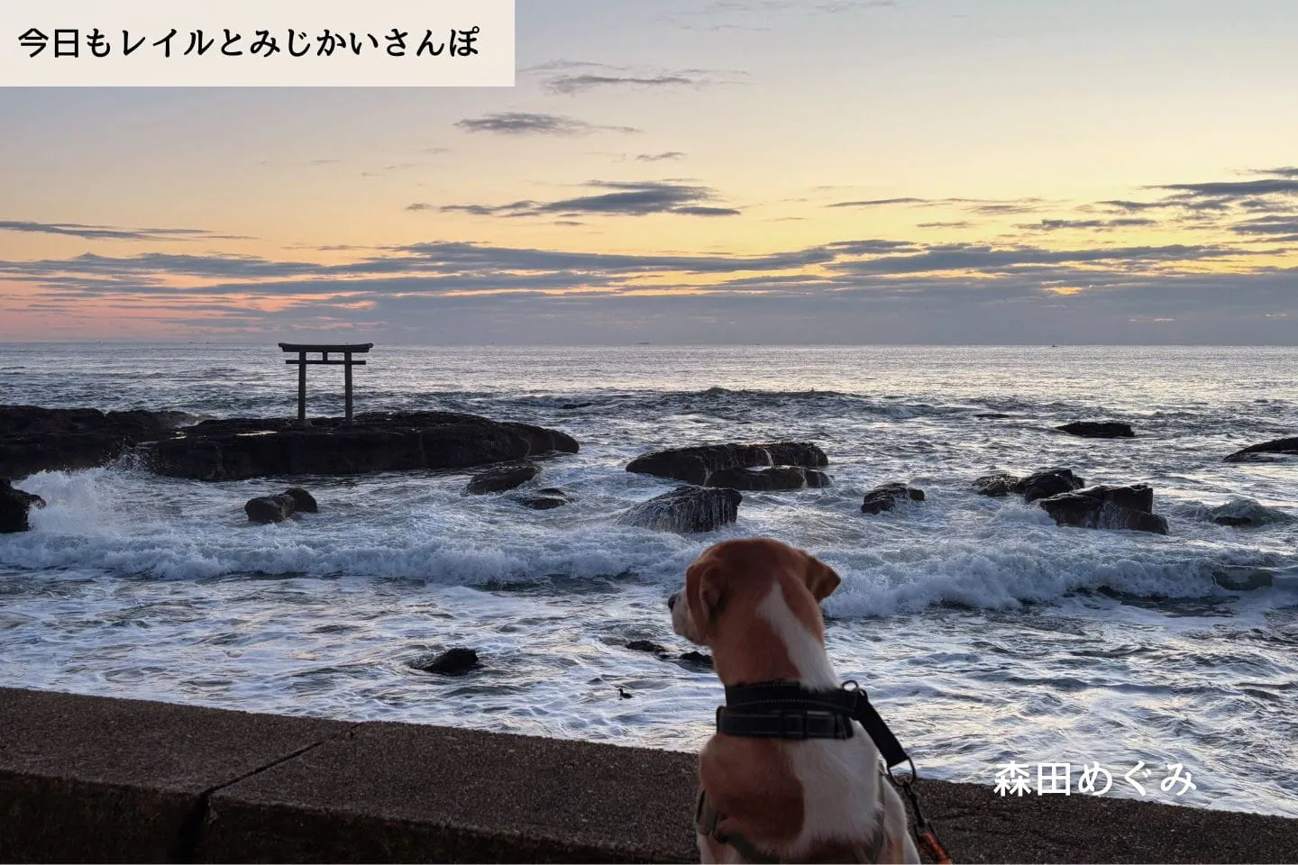 【連載】私たちとウォンカのふるさとへ｜森田めぐみ｜今日もレイルとみじかいさんぽ