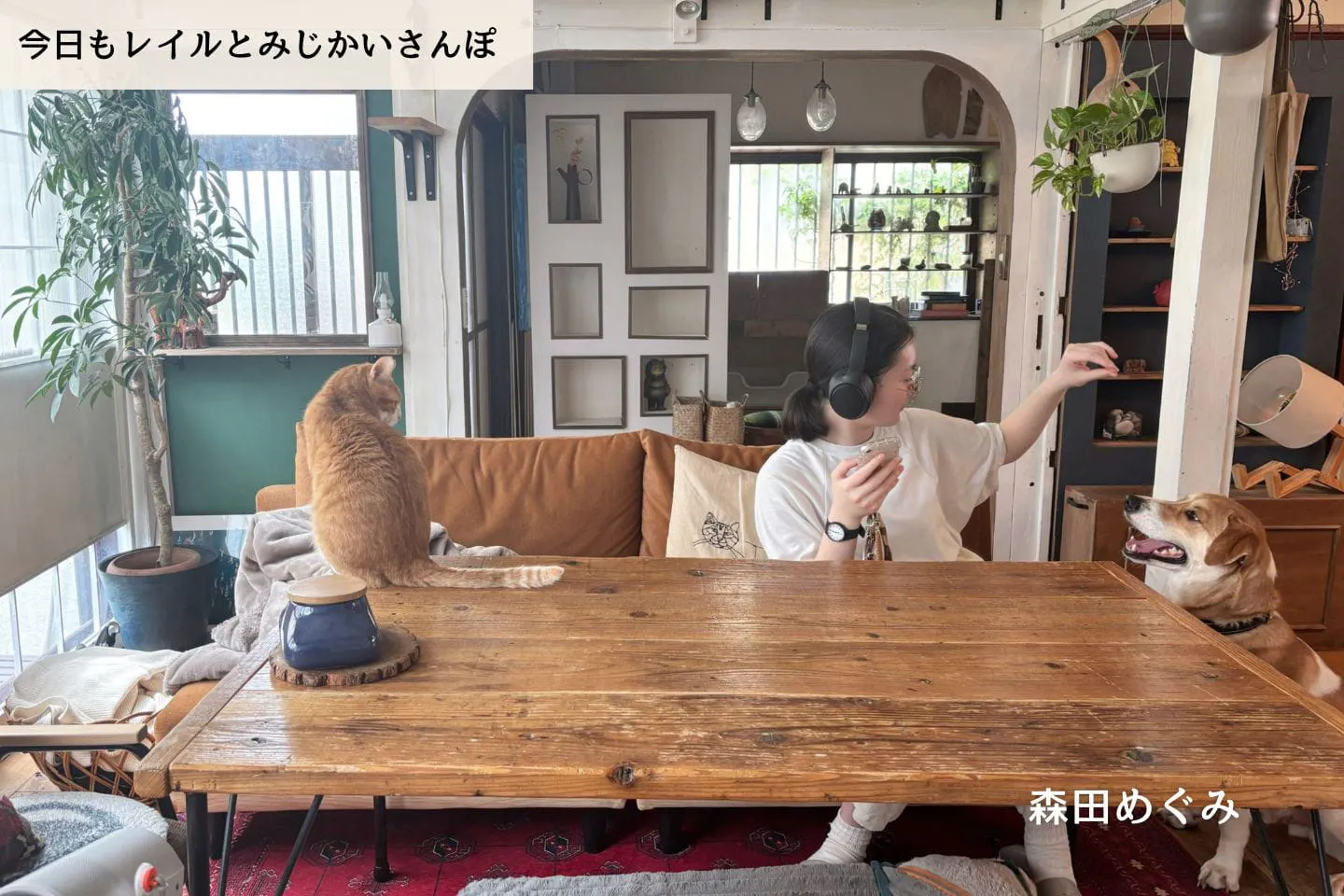 【連載】犬同士のトラブルが起きた日。飼い主として反省したこと|森田めぐみ|今日もレイルとみじかいさんぽ