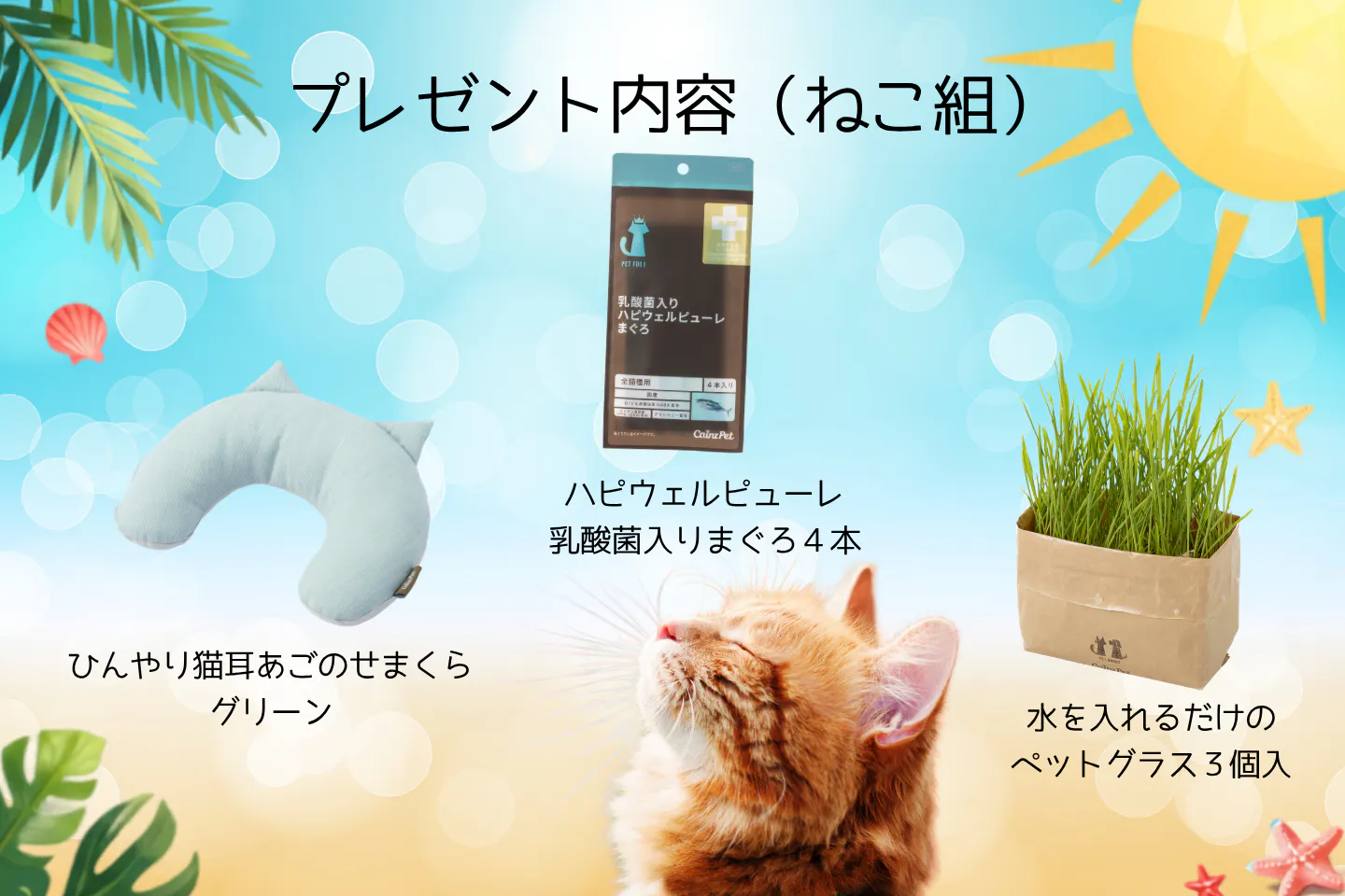 ねこ組プレゼントセット