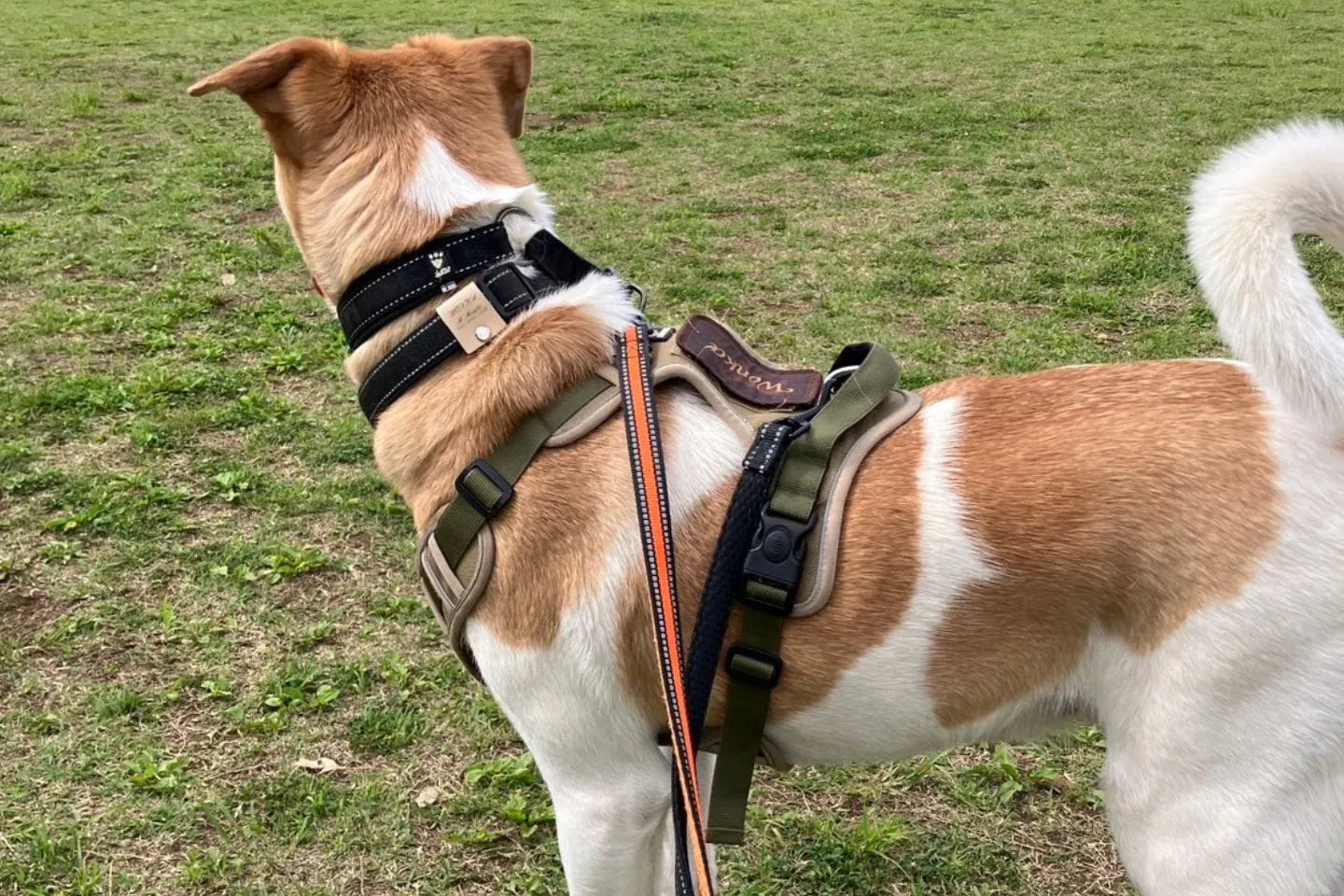 公園でドロドロになるまで遊びます