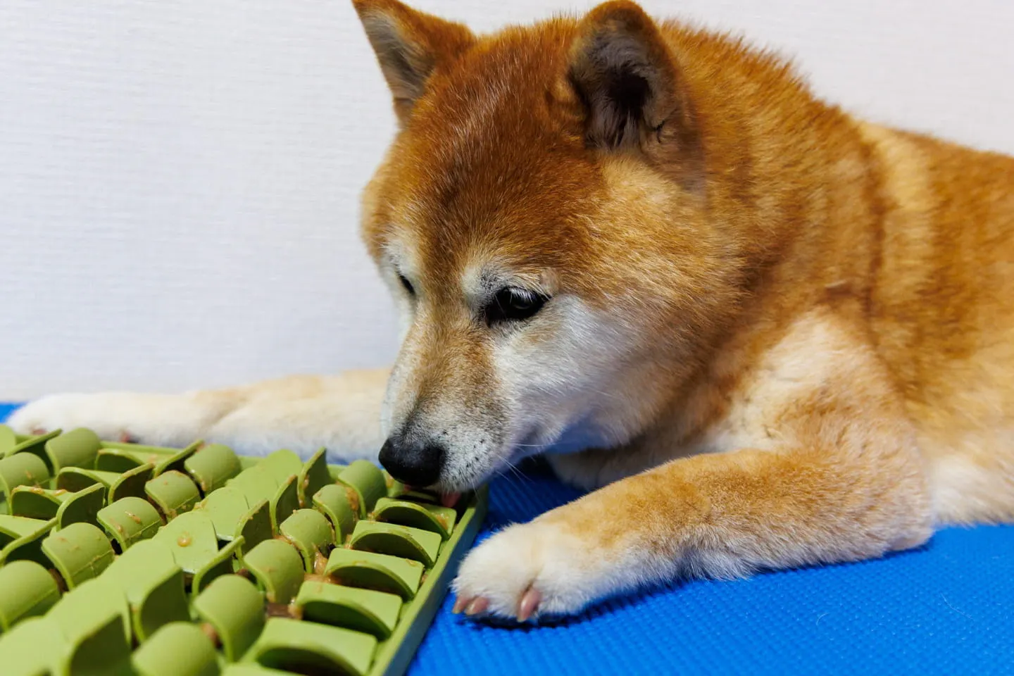 シニアらしく食べる