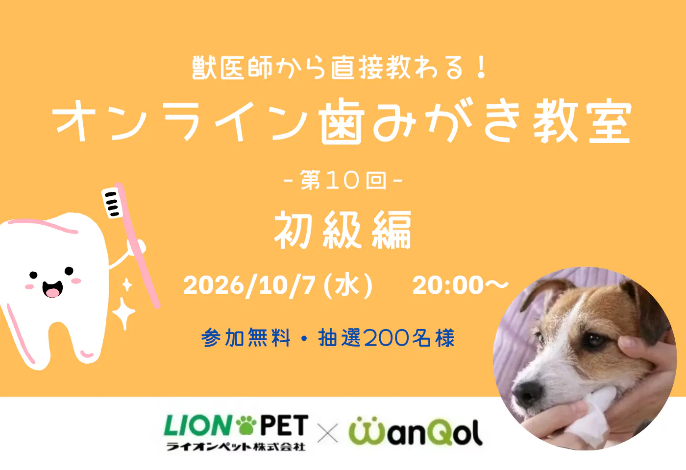 獣医師が教える！オンライン歯みがき教室 《第10回・初級編》
