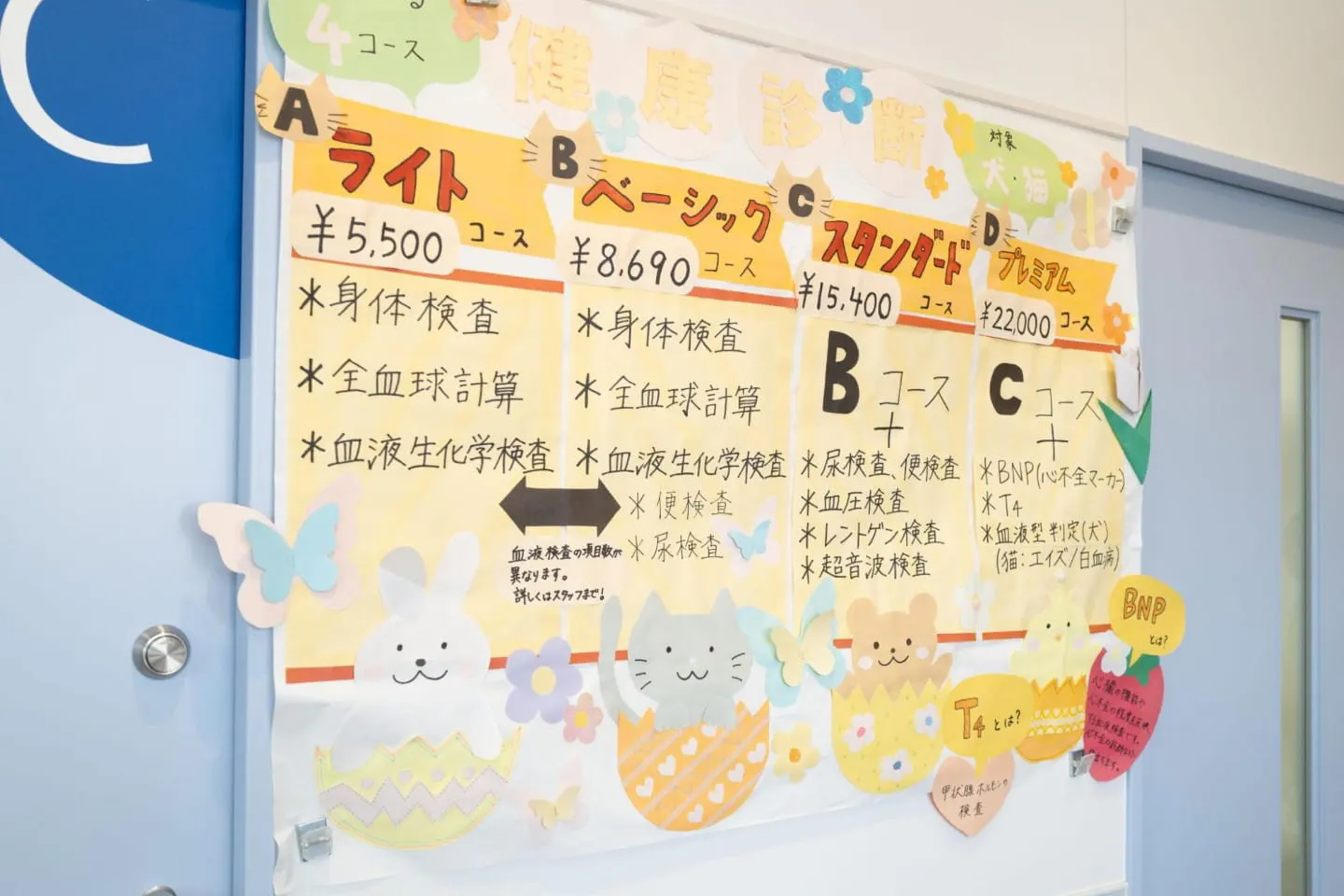 健康診断は原則として1回の来院で行います。検査結果や犬の状態によっては、後日の結果説明や再検査、追加検査が必要になる場合があります。