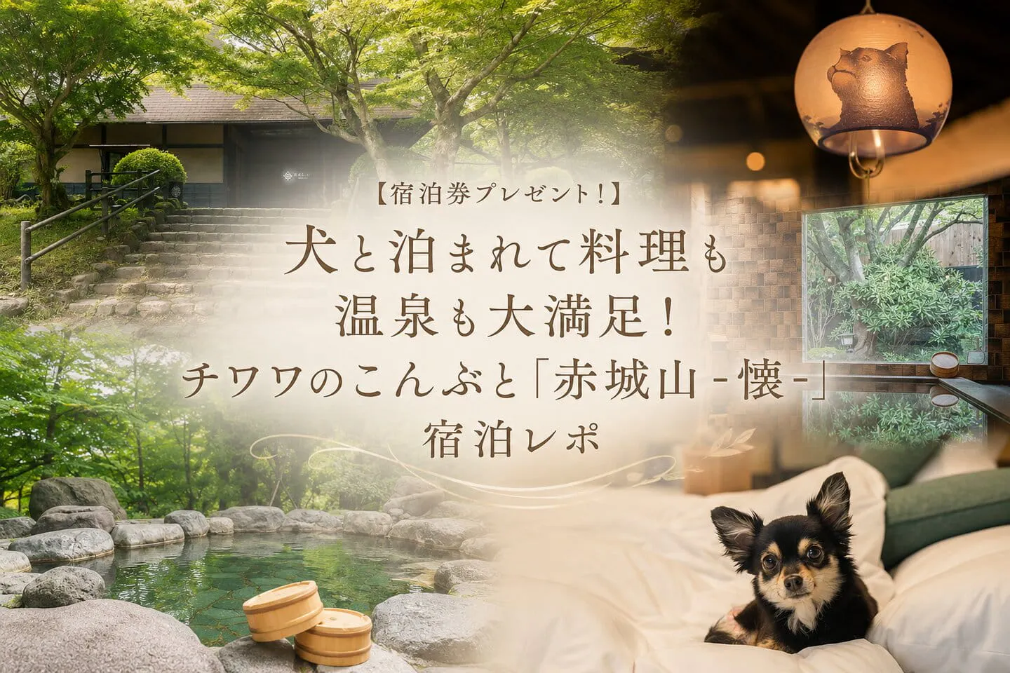 【宿泊券プレゼント！】犬と泊まれて料理も温泉も大満足！チワワのこんぶと「赤城山 -懐-」宿泊レポ