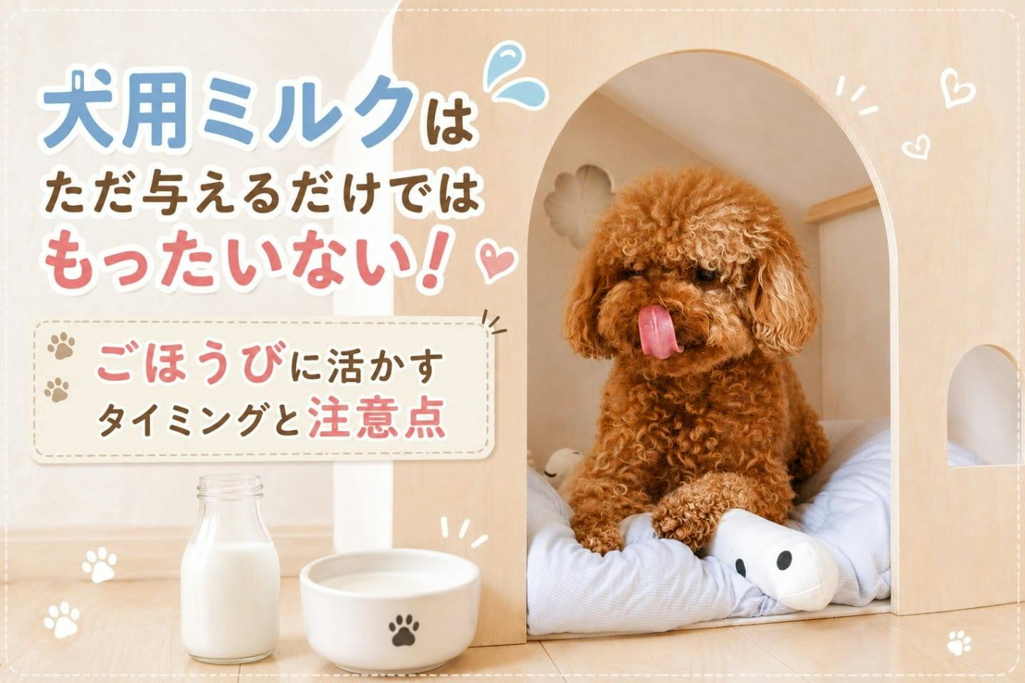 連載】愛犬の闘病で大きく変わったこと｜森田めぐみ｜今日もレイルと