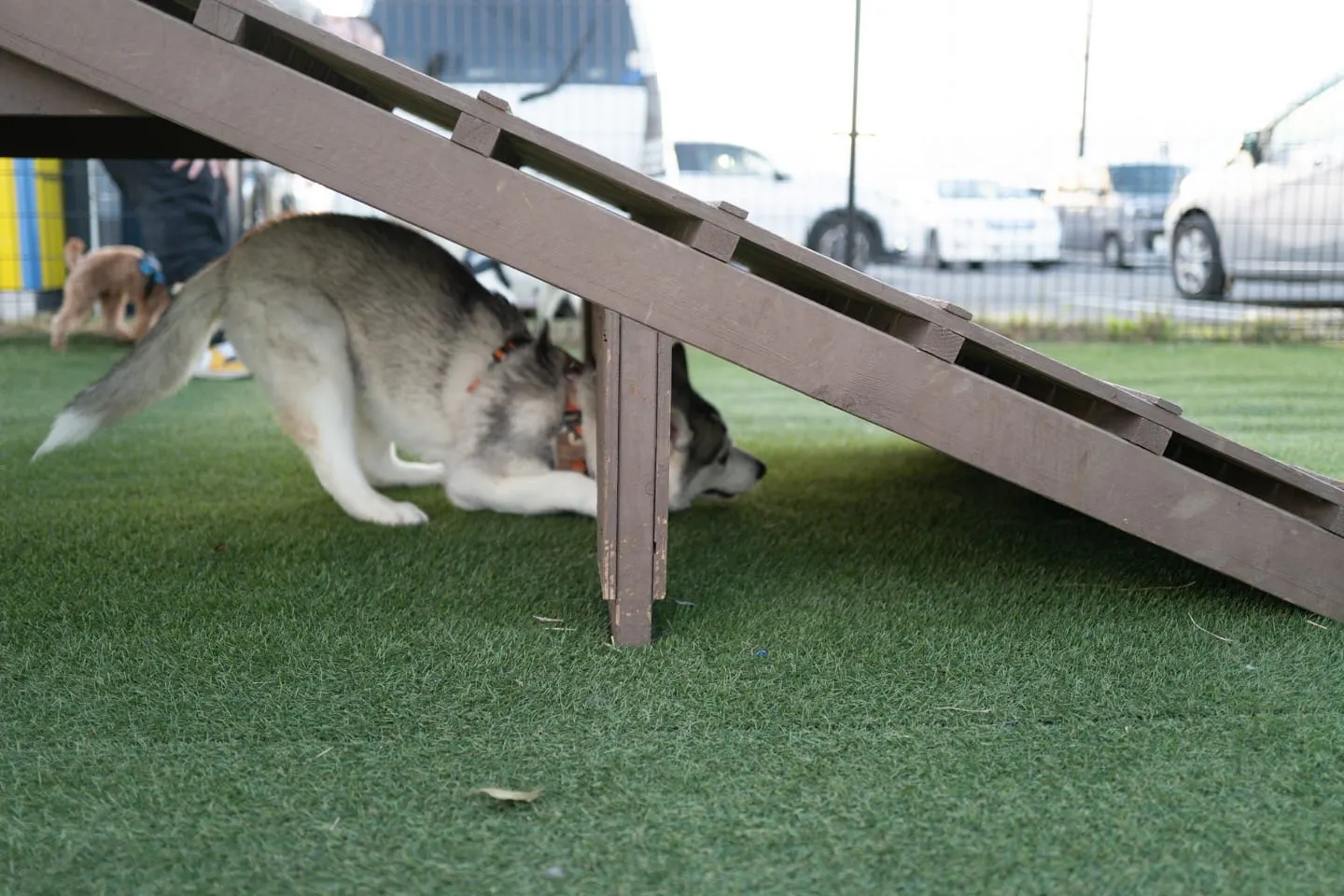 狭い場所が好き