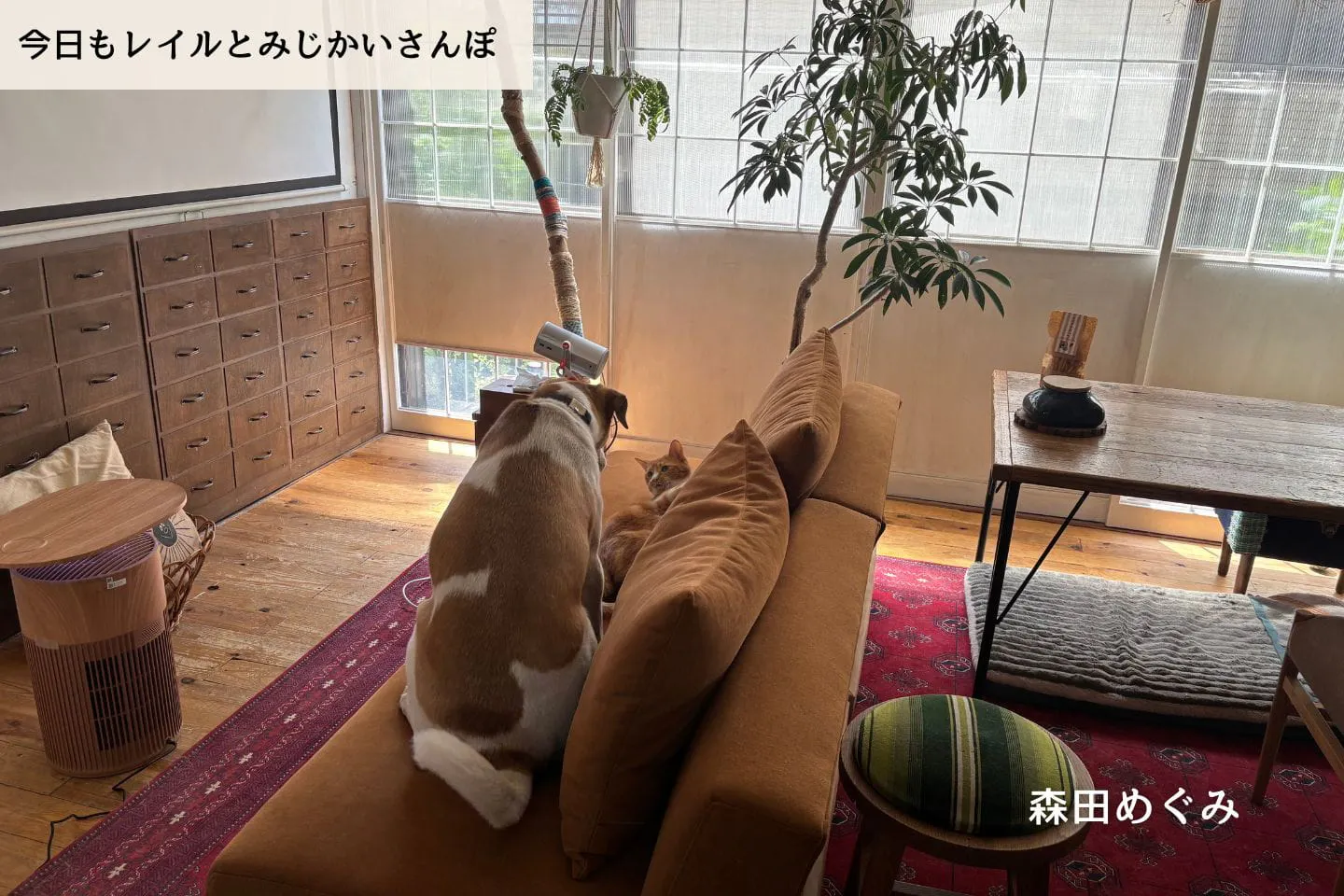 「きっと伝わる」と思っていた。飼い主同士のやり取りで気づいたこと|森田めぐみ|今日もレイルとみじかいさんぽ