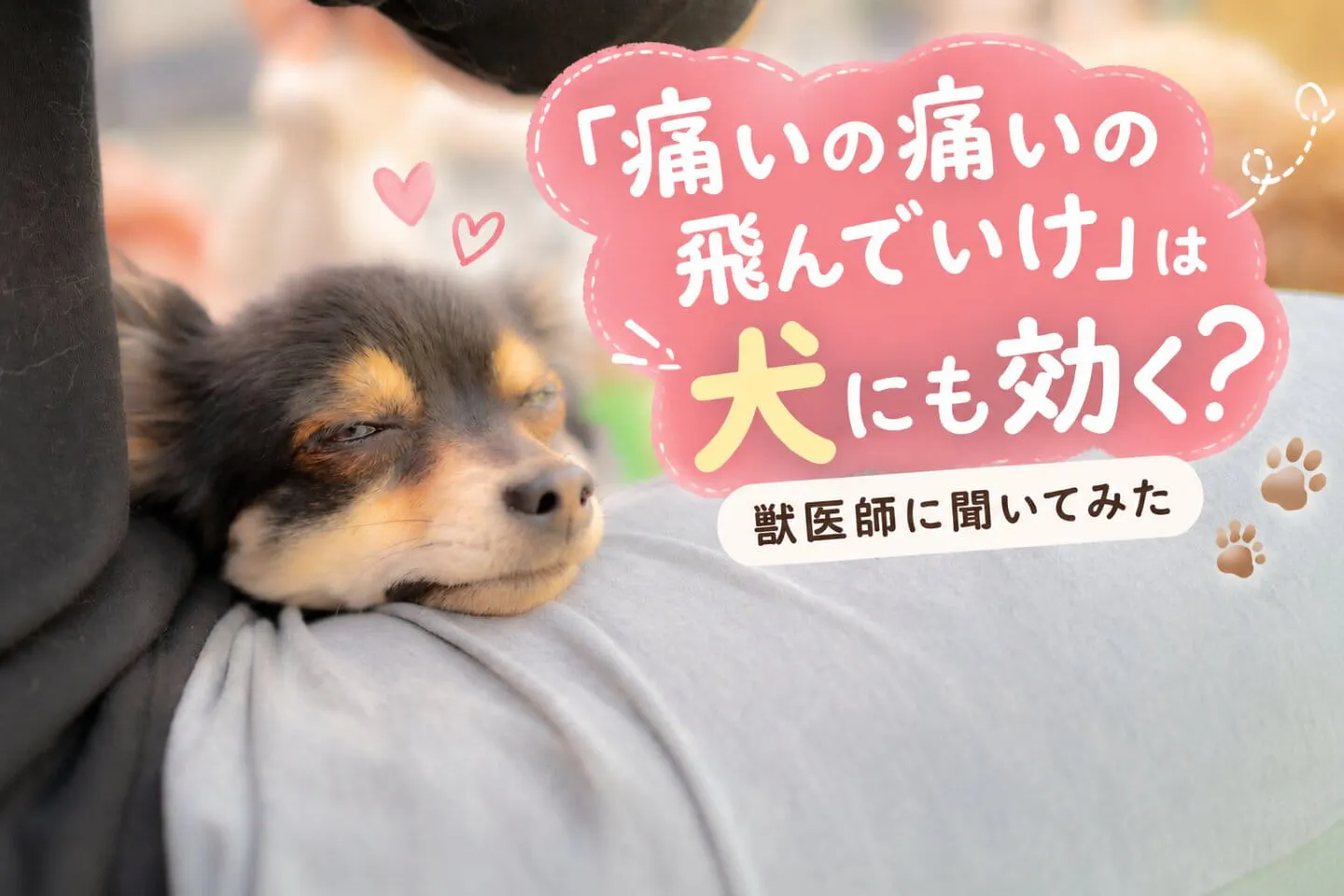 「痛いの痛いの飛んでいけ」は犬にも効く？獣医師に聞いてみた