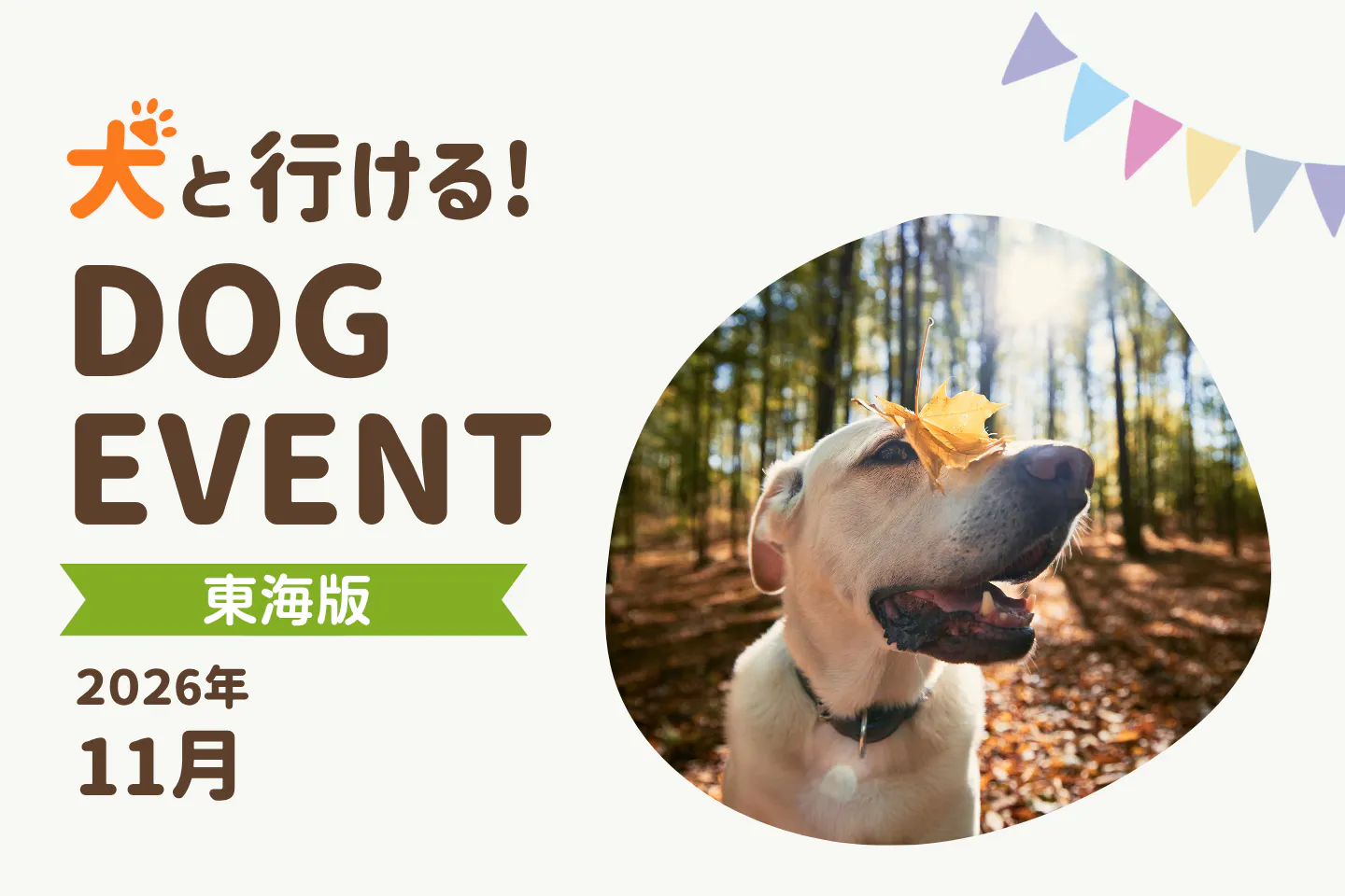【2026年11月中部・東海版】愛犬と一緒に楽しめるドッグイベント