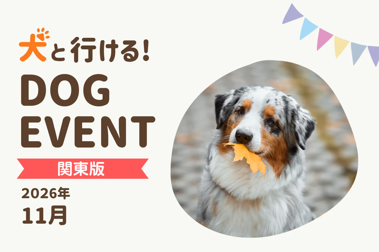 【2026年11月関東版】愛犬と一緒に楽しめるドッグイベント