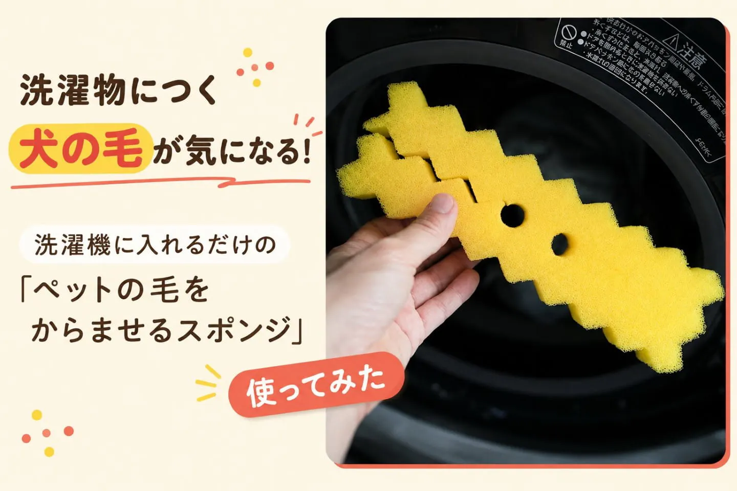 洗濯物につく犬の毛が気になる！洗濯機に入れるだけの「ペットの毛をからませるスポンジ」を使ってみた