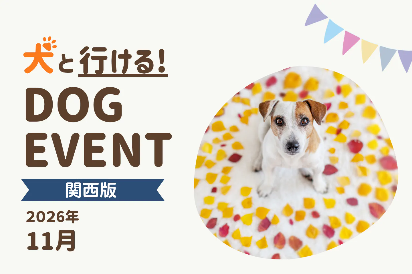 【2026年11月関西版】愛犬と一緒に楽しめるドッグイベント