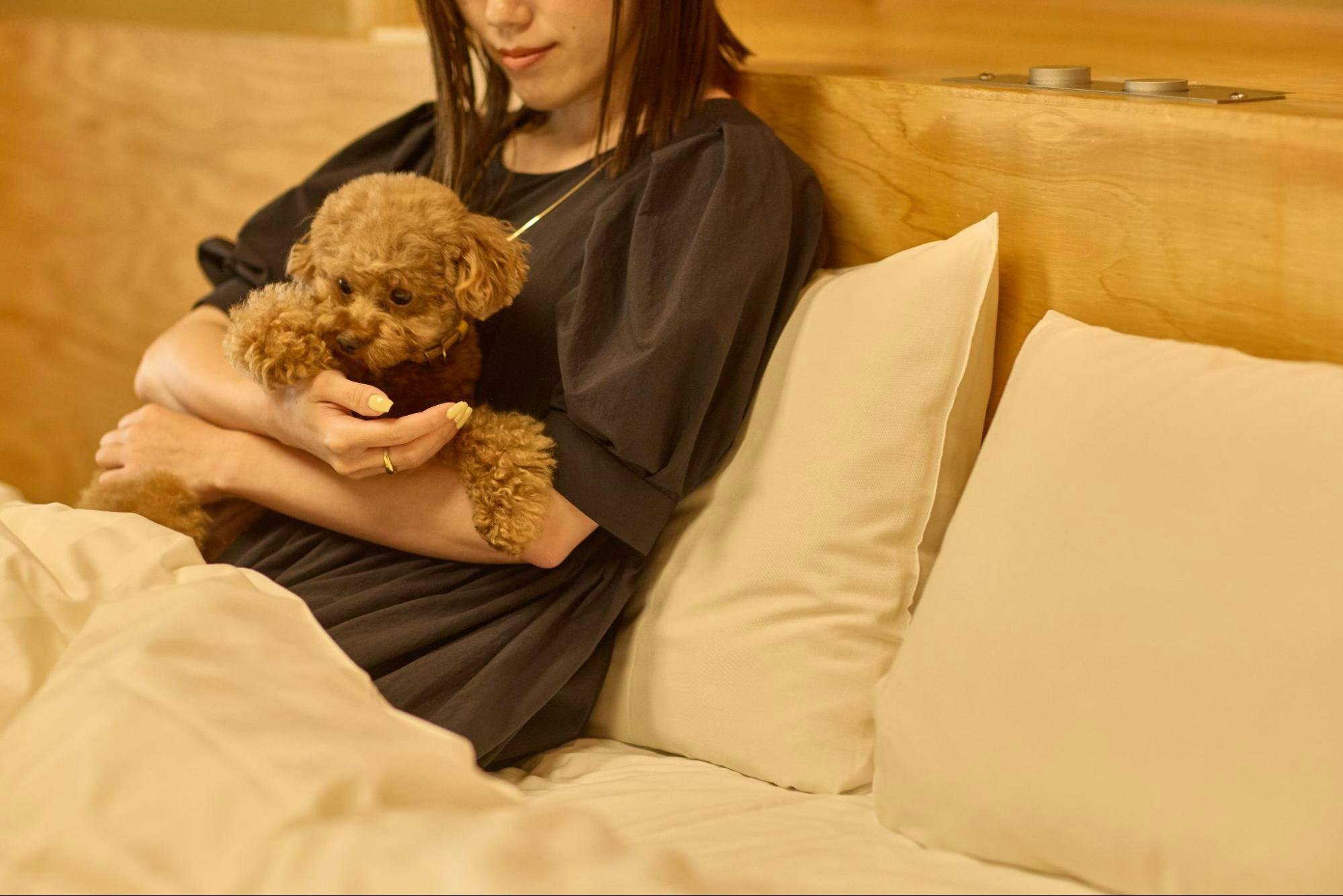 ファンタジーアート シリアルナンバー入 23/300 狗蛋いぬたま犬玉夢遊ノート 宿泊券プレゼント】愛犬と奈良の絶景旅へ。「ANDO HOTEL 奈良若草山