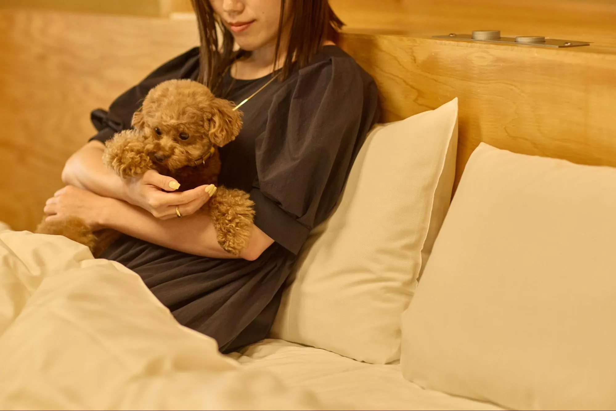 【宿泊券プレゼント】愛犬と奈良の絶景旅へ。「ANDO HOTEL 奈良若草山」にドッグルームが誕生