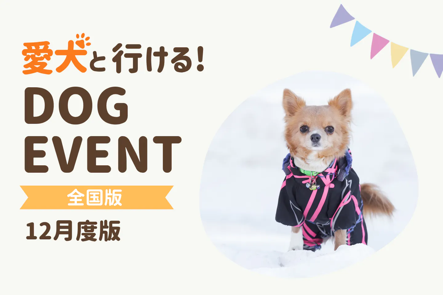 【2026年12月】全国の愛犬と一緒に楽しめるドッグイベント