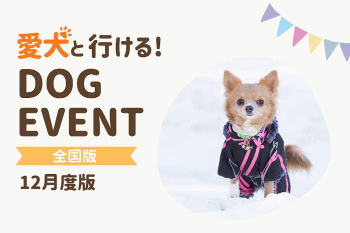 2026年12月】全国の愛犬と一緒に楽しめるドッグイベント|ワンクォール