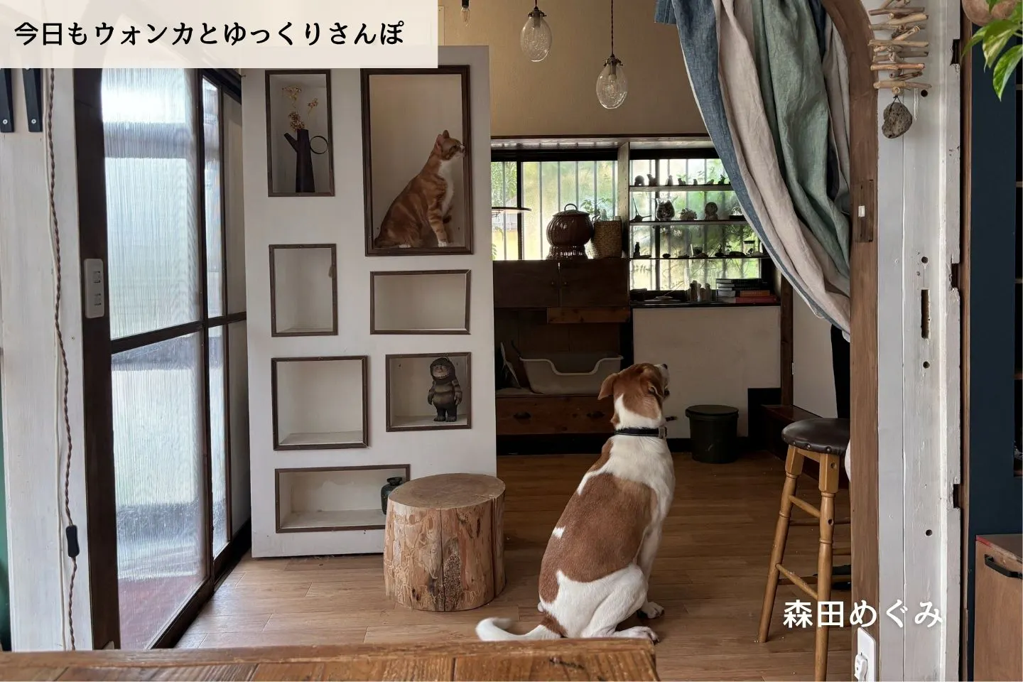 【連載】犬連れの旅行は大変なのか？前編｜森田めぐみ｜今日もウォンカとゆっくりさんぽ
