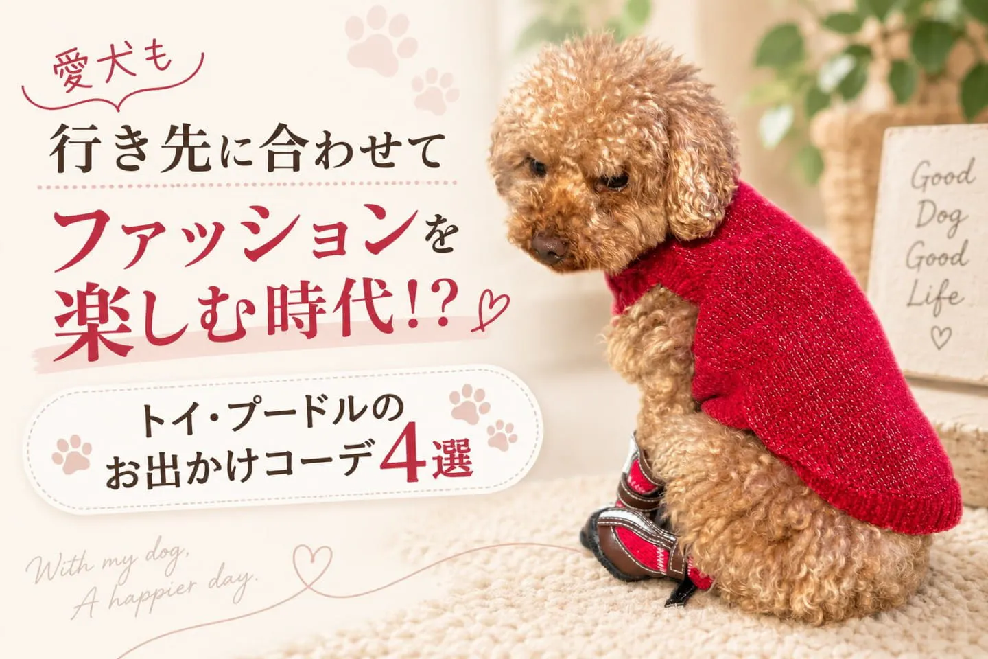 愛犬と行き先に合わせてファッションを楽しむ!?トイ・プードルのお出かけコーデ4選