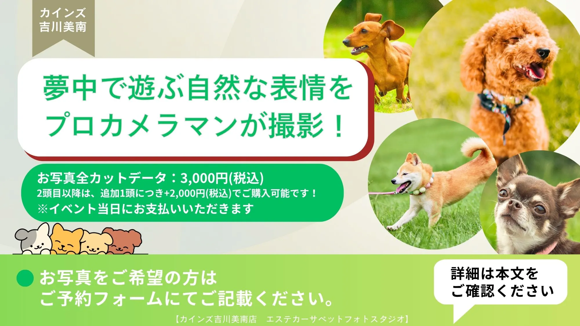 写真撮影会
