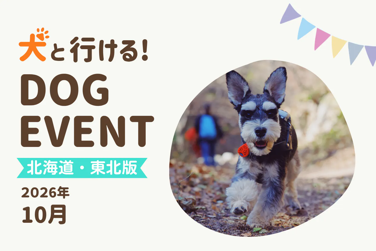 【2026年10月北海道・東北版】今日・今週末の犬イベント・ドッグイベント一覧｜北海道・宮城・岩手・秋田