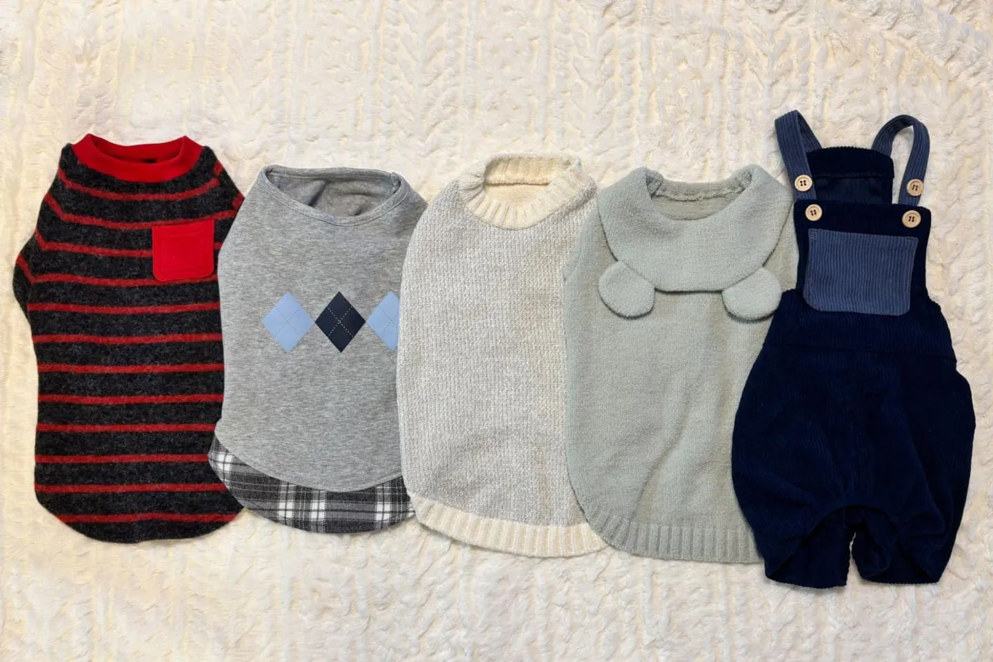 カインズの秋冬新作ドッグウェア5着