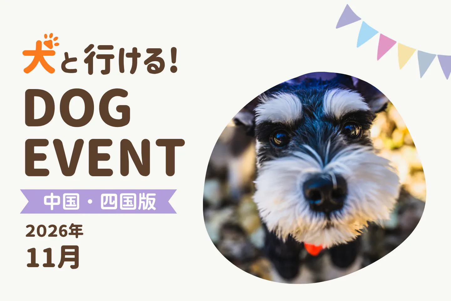 【2026年11月中国・四国版】今日・今週末の犬イベント・ドッグイベント一覧｜広島・岡山・香川・山口