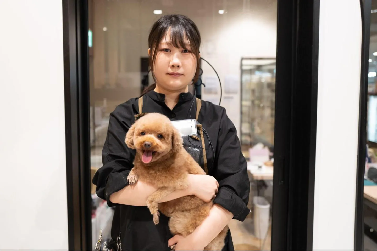 トリマーさんとトイ・プードル