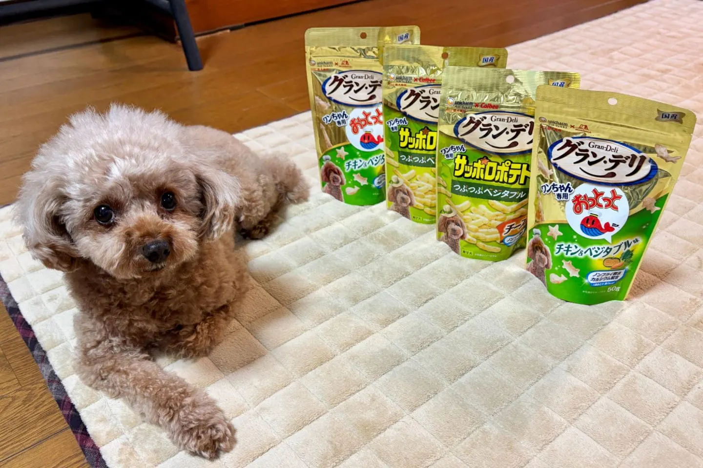 犬用おっとっと＆サッポロポテト!? カインズわん祭り2026のおやつセットを愛犬と楽しんでみた