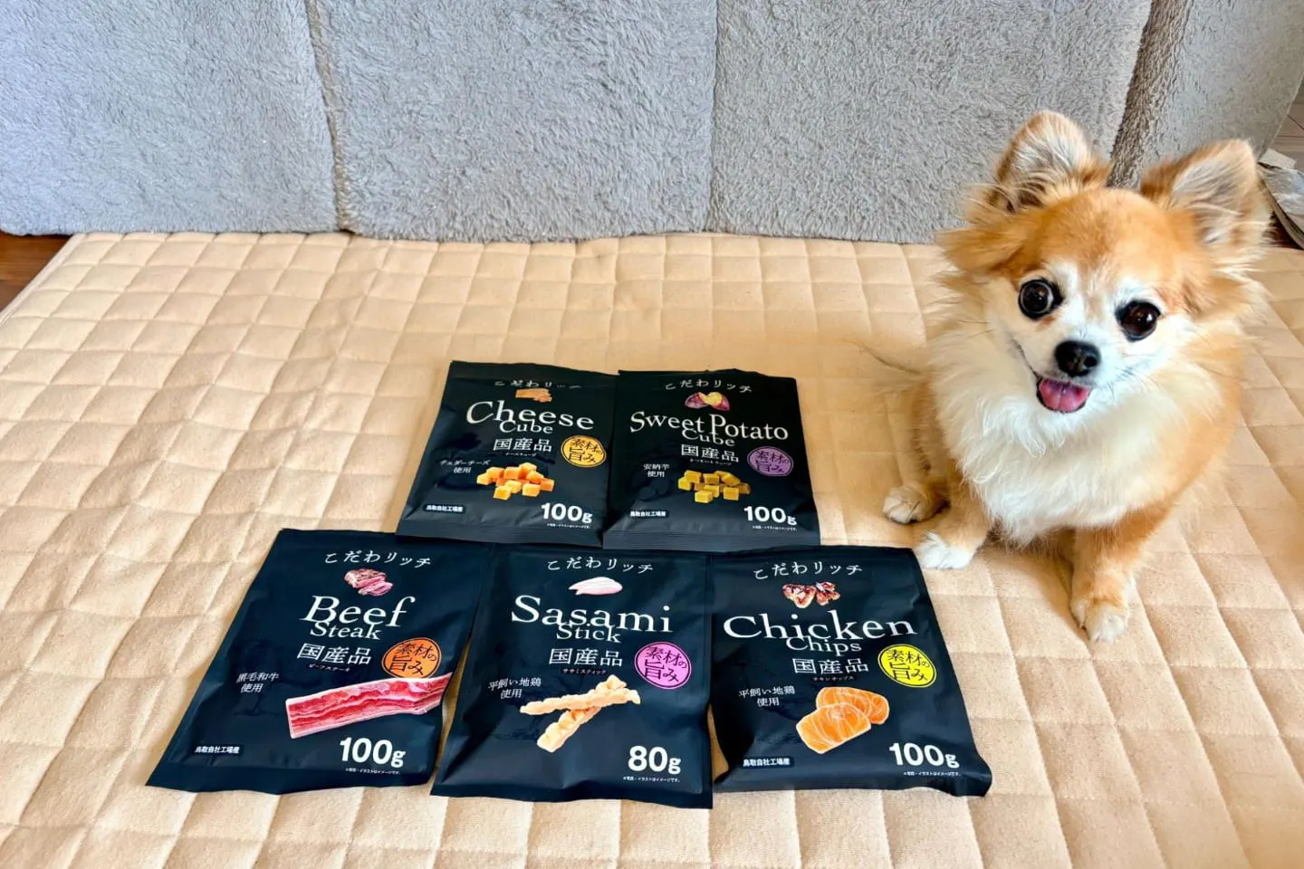 5個で1,000円（税込）！10歳のチワワと「こだわリッチ」5種類を開けてみた【わん祭り】