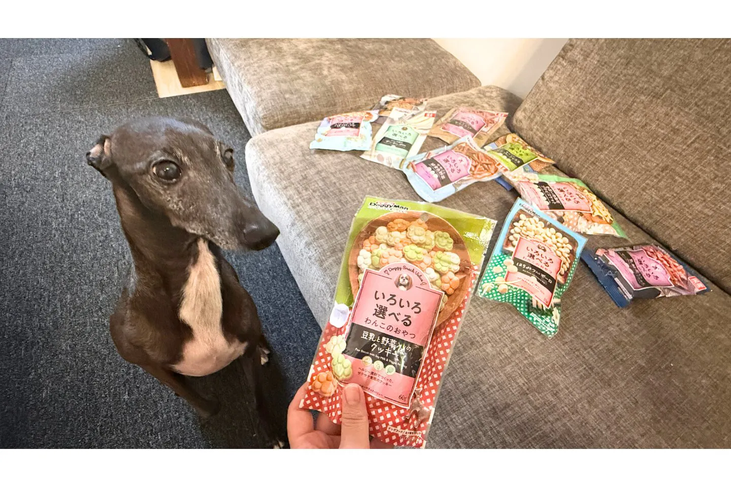 いろいろ選べるわんこのおやつを手に持った状態