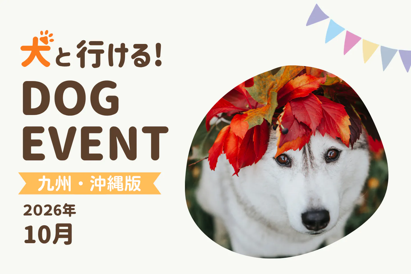 【2026年10月九州・沖縄版】今日・今週末の犬イベント・ドッグイベント一覧｜福岡・熊本・宮崎・大分