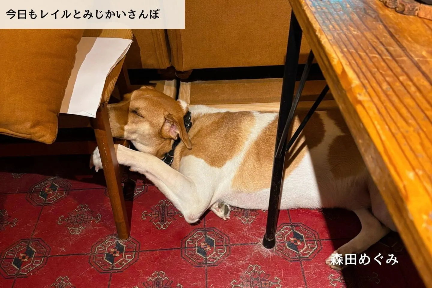【連載】慰謝料は？治療費は？お金の話って難しい…。｜今日もレイルとみじかいさんぽ（第36話）