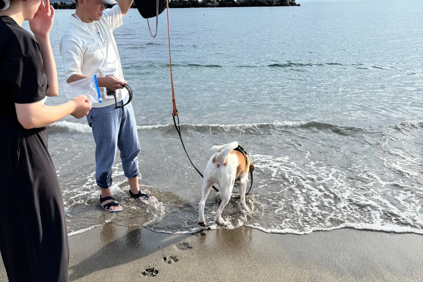 水が怖い愛犬